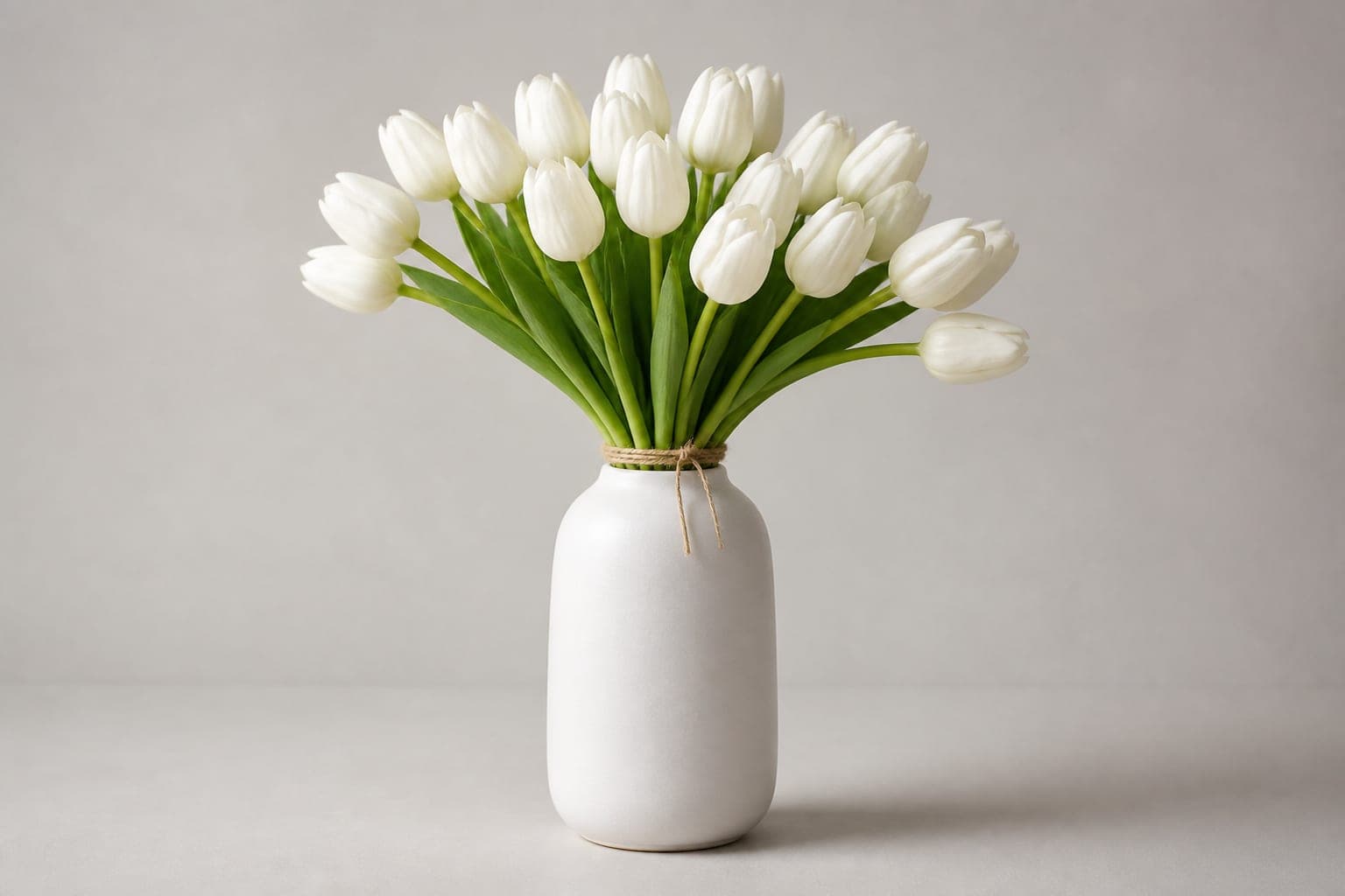 comprar tulipanes blancos en Gijón, Oviedo y Avilés
